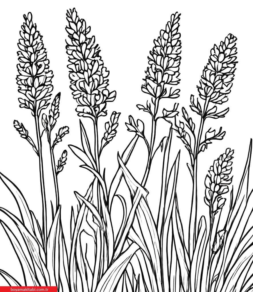 Sanatsal Yabani Çiçekler