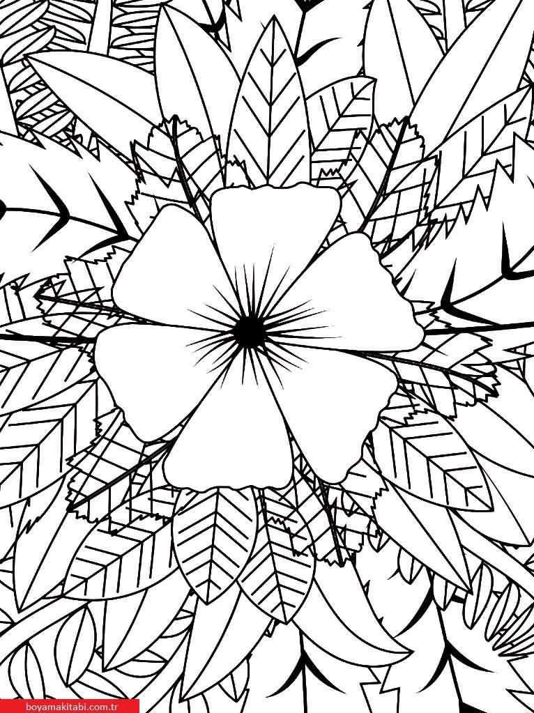 Sanatsal Yabani Çiçekler