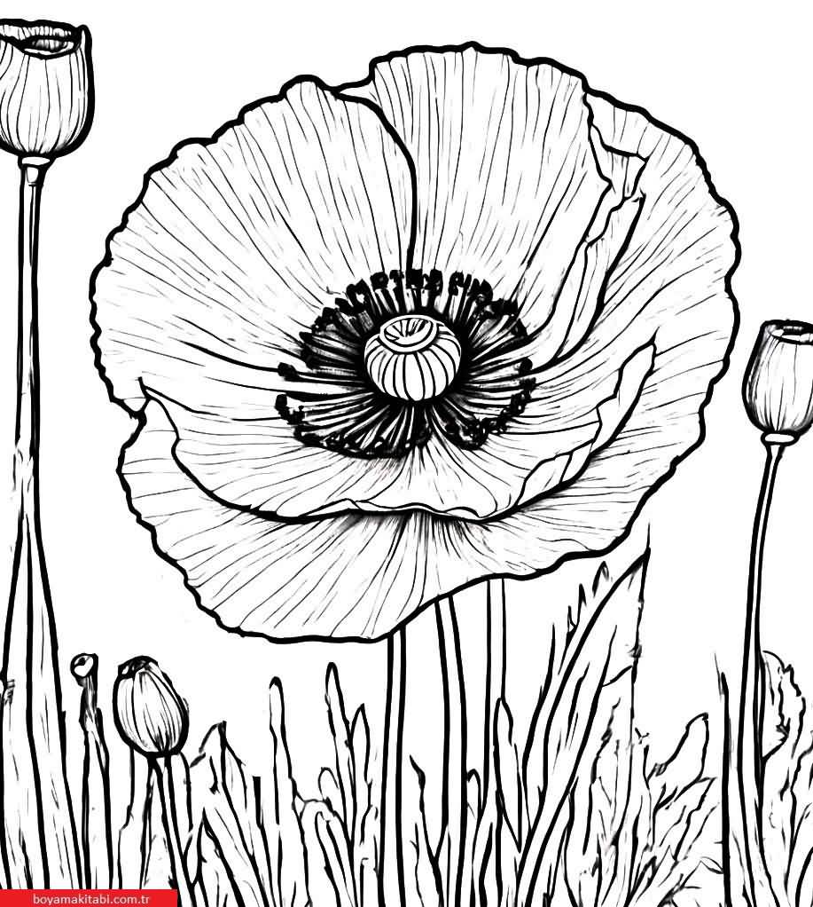 Sanatsal Yabani Çiçekler