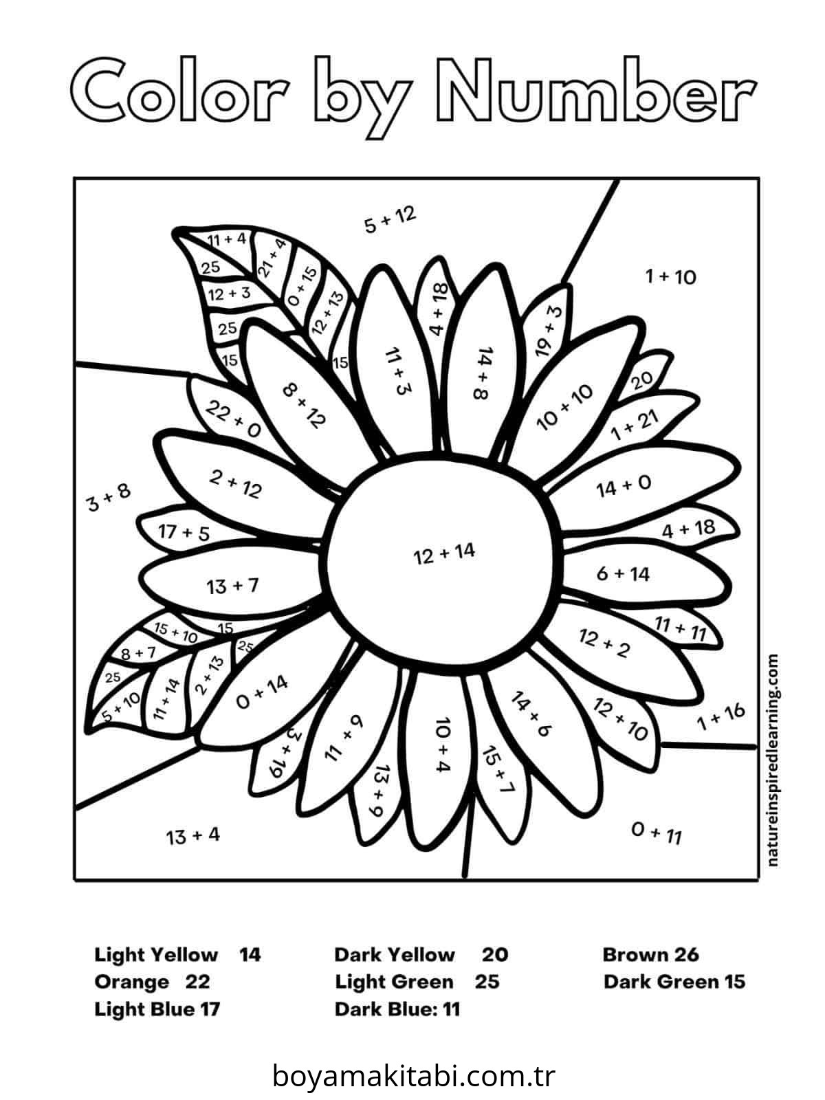 Sayıları Renklendir