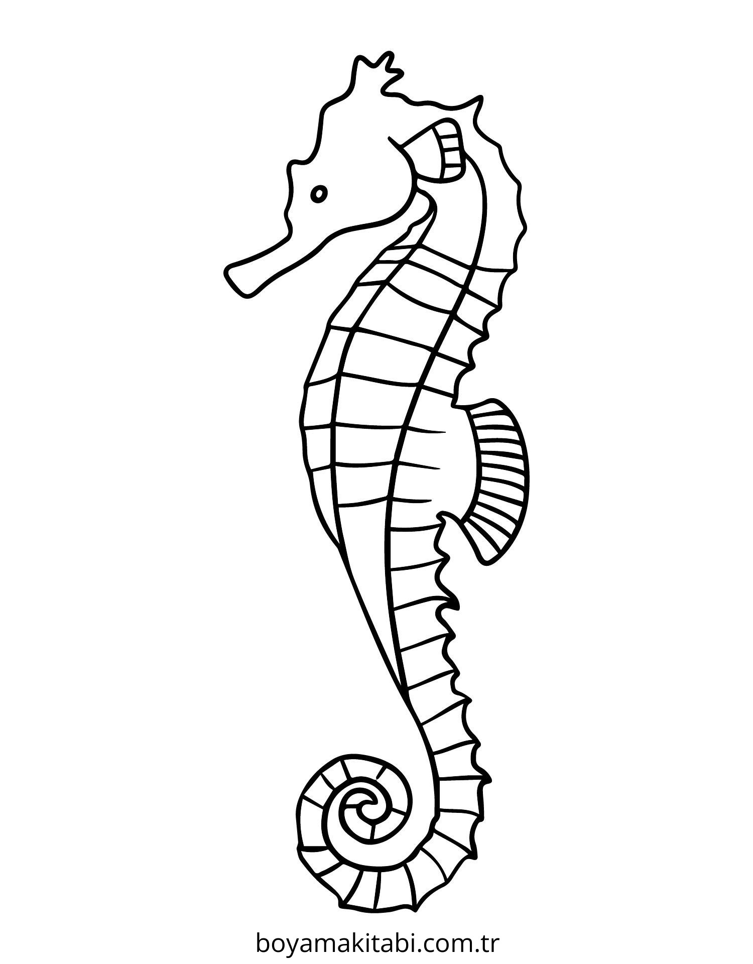Seahorse