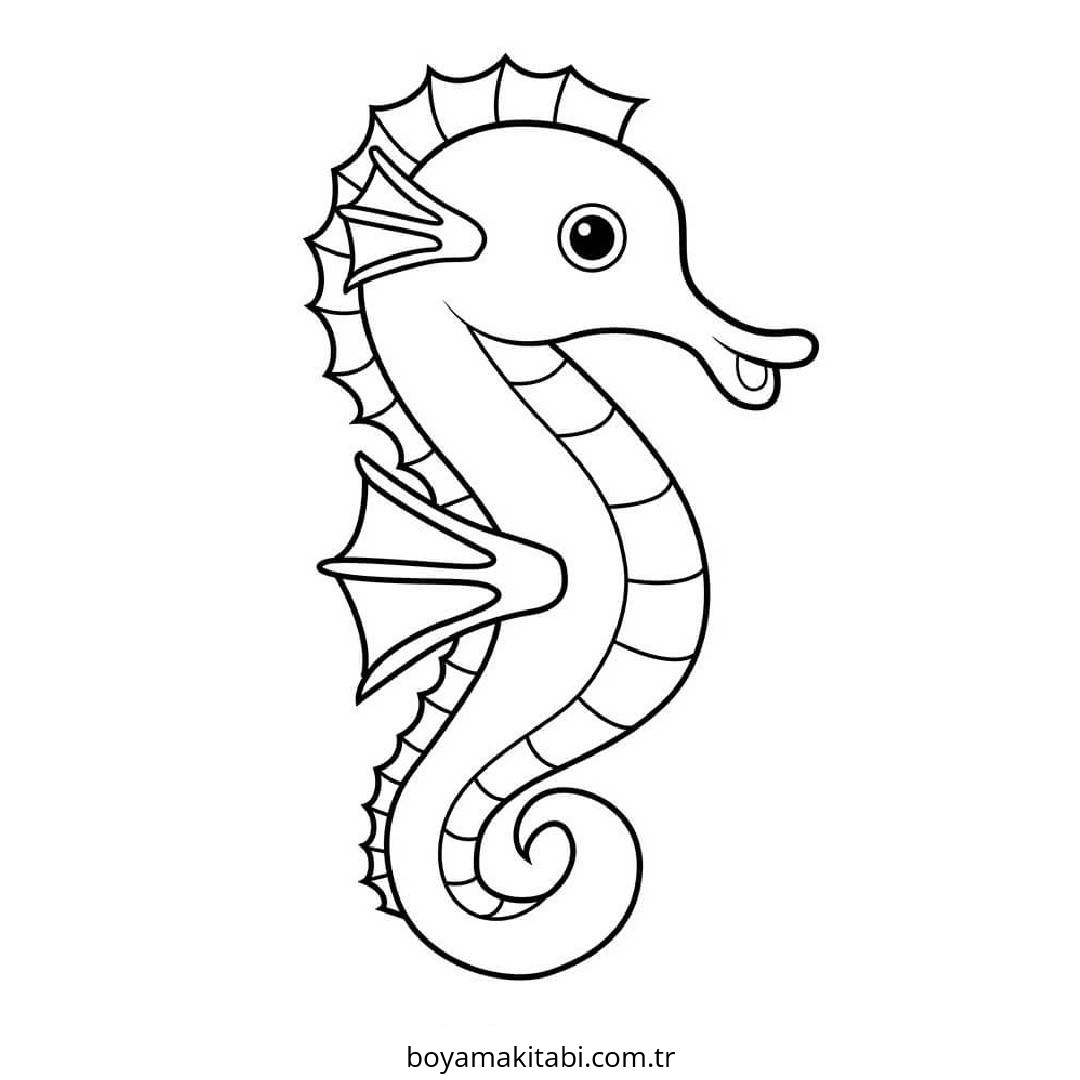 Seahorse