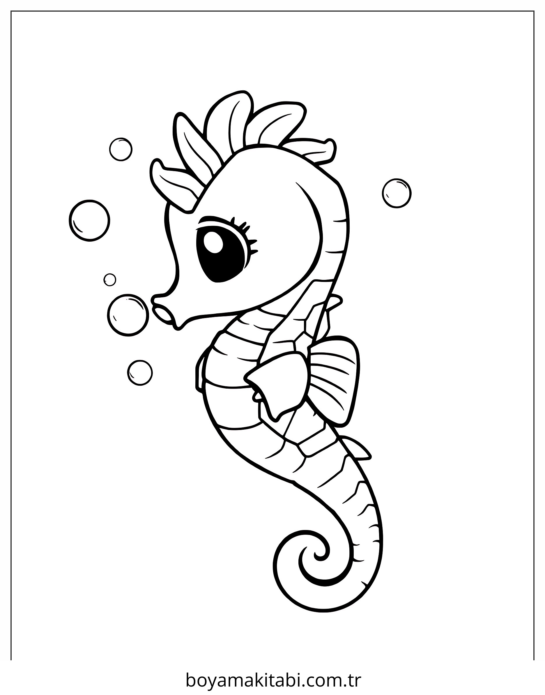 Seahorse
