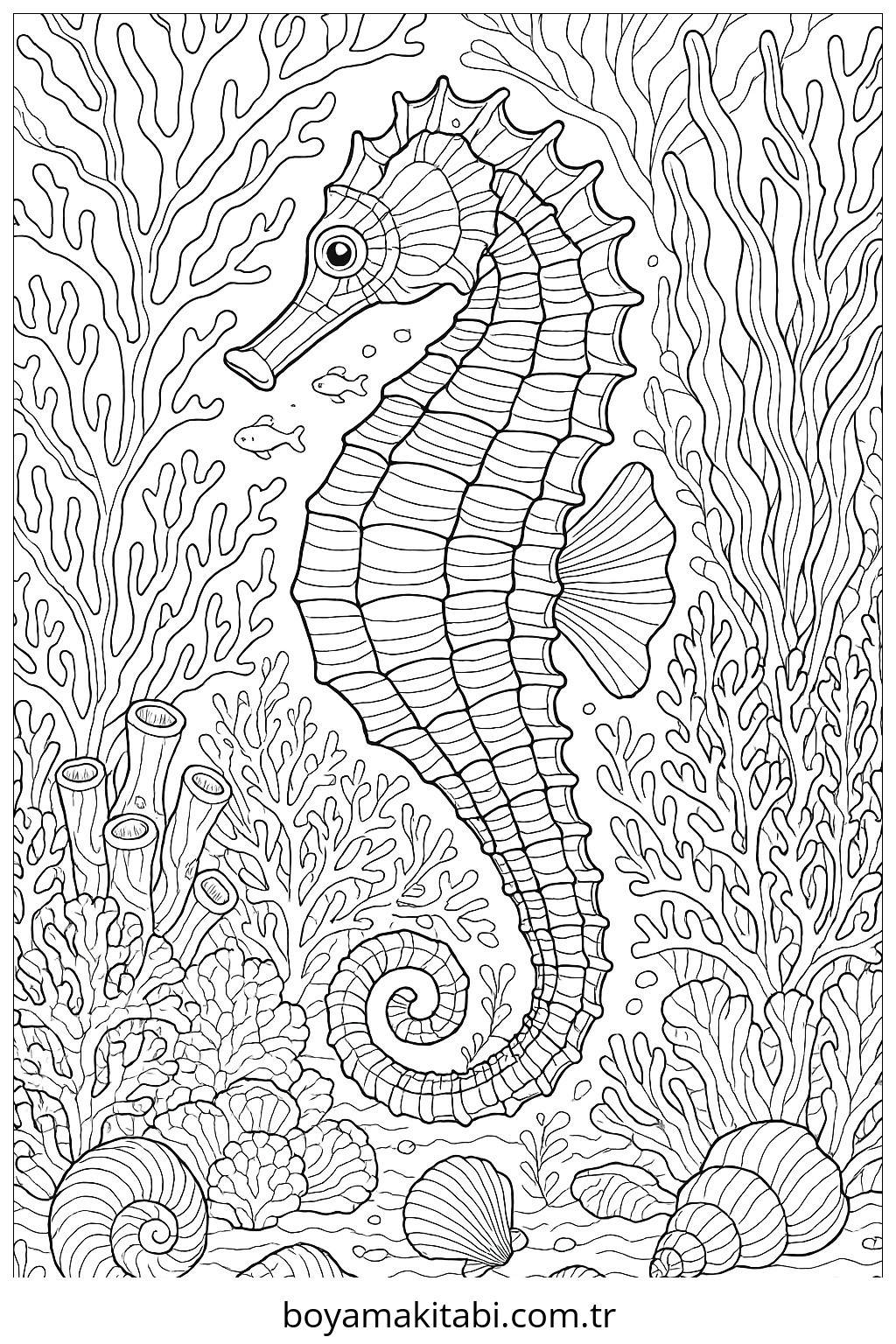 Seahorse