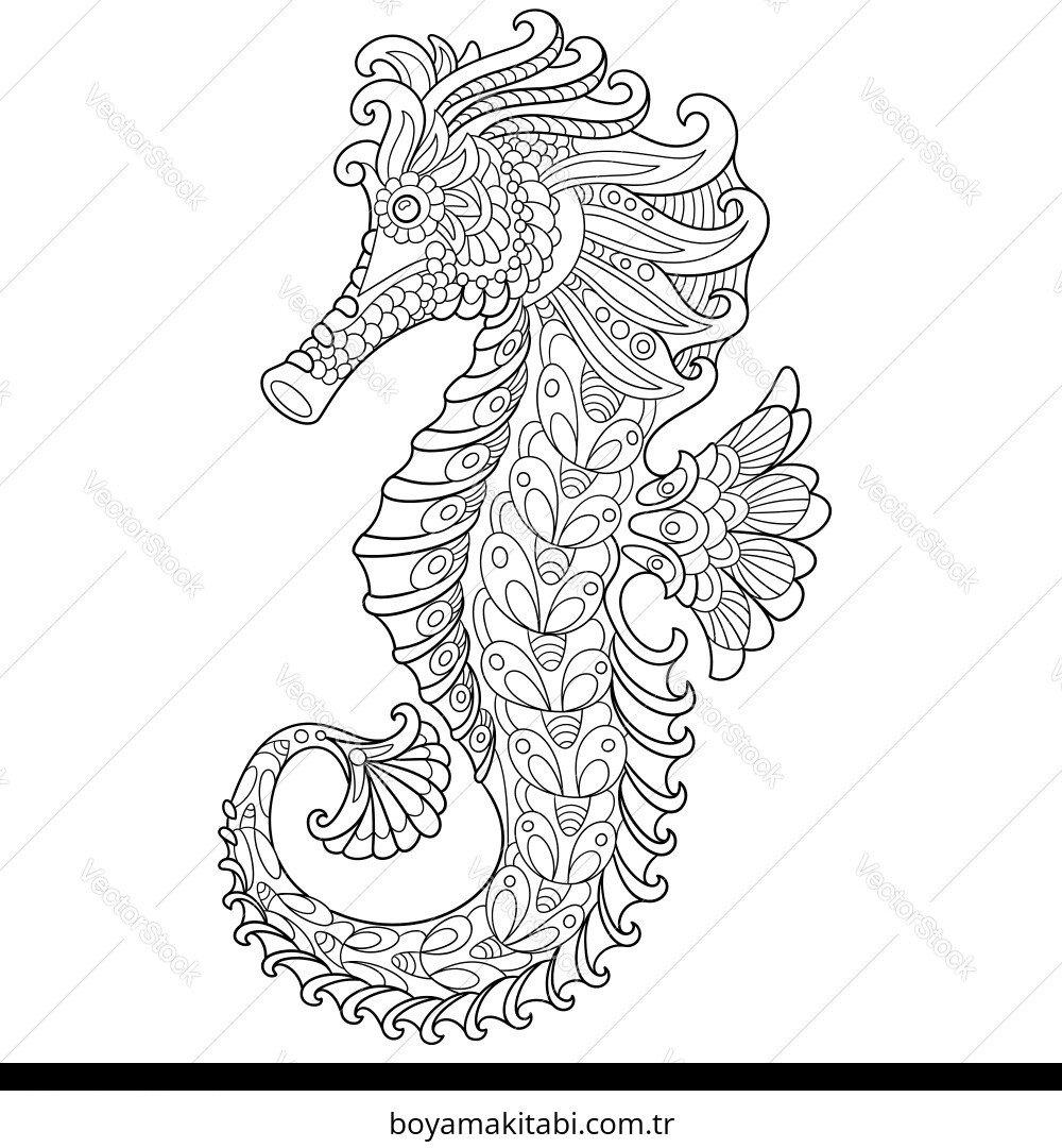 Seahorse