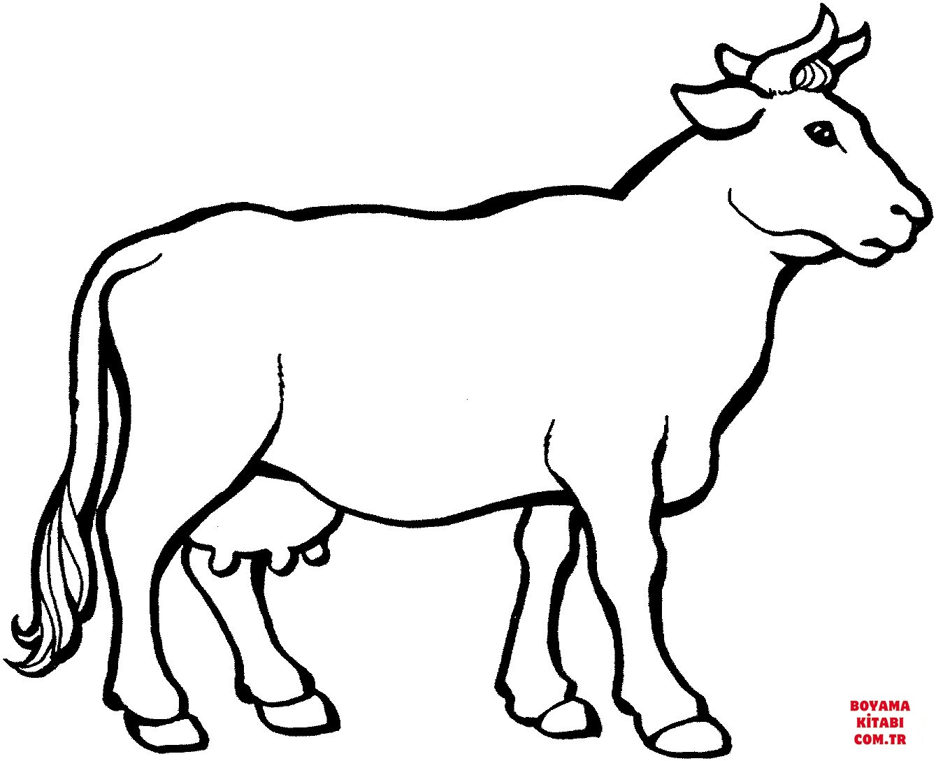 Sığır