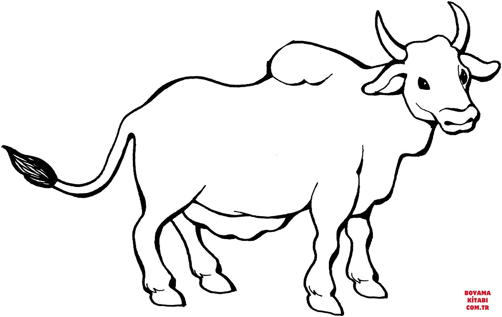 Sığır