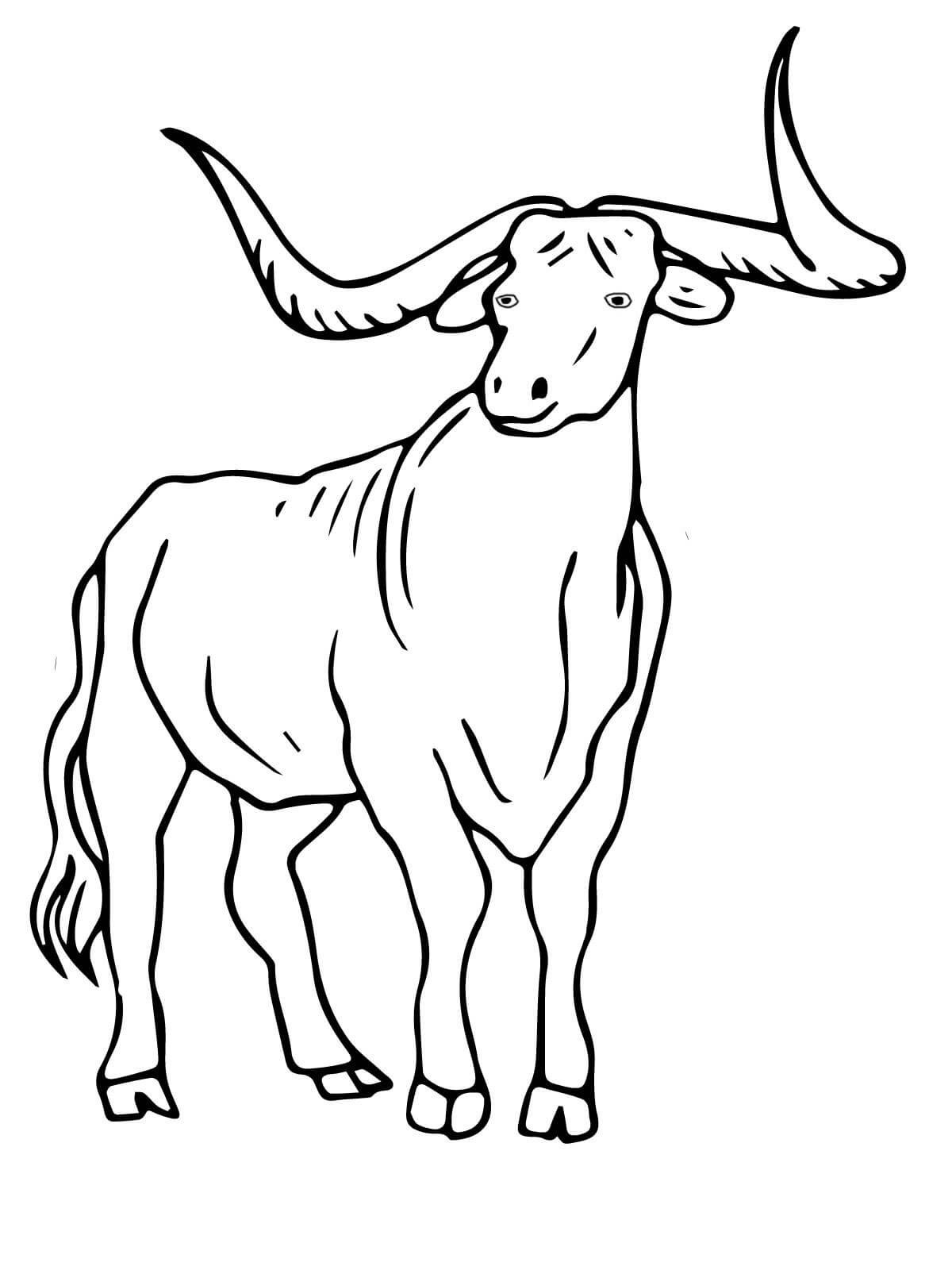 Sığır