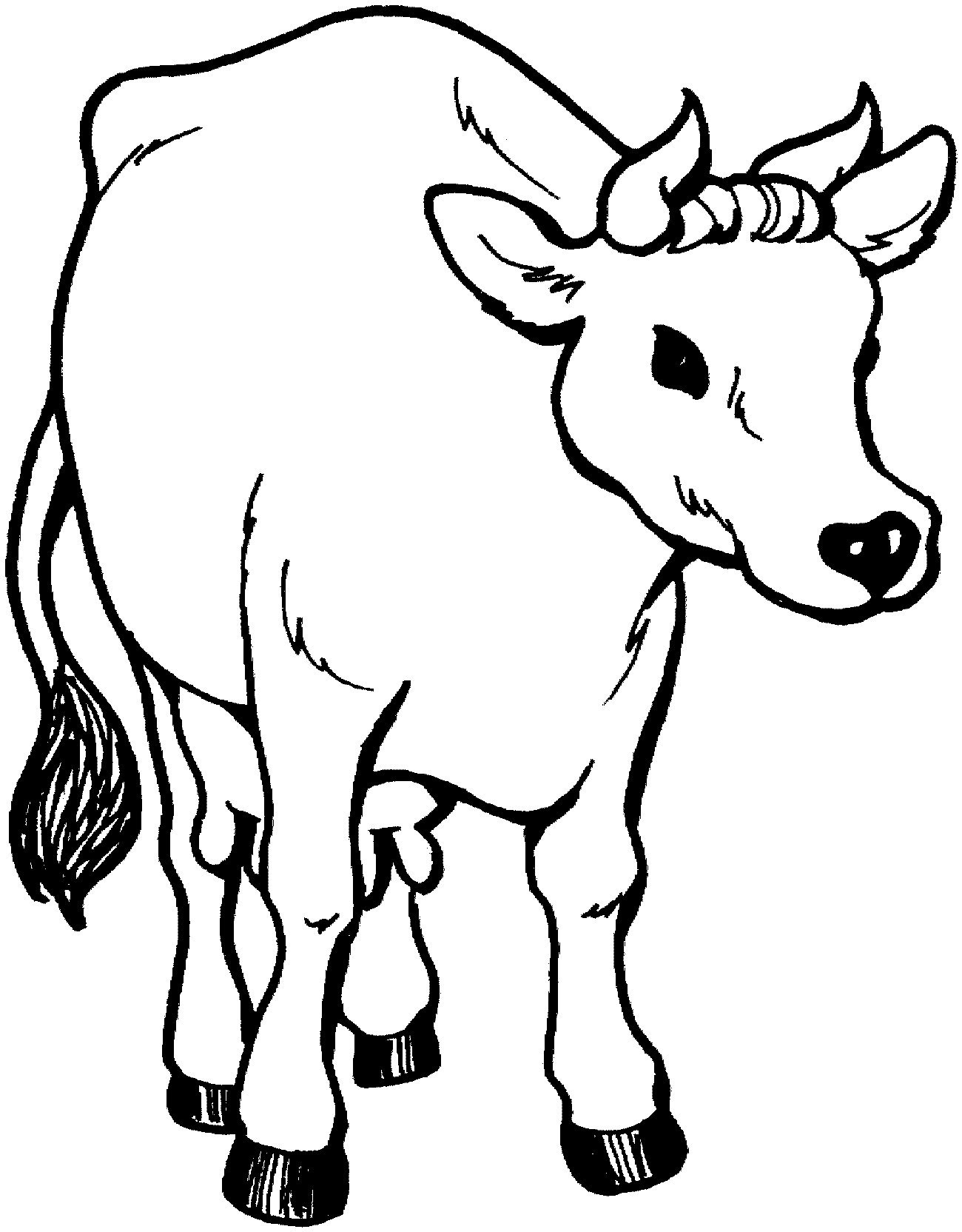 Sığır