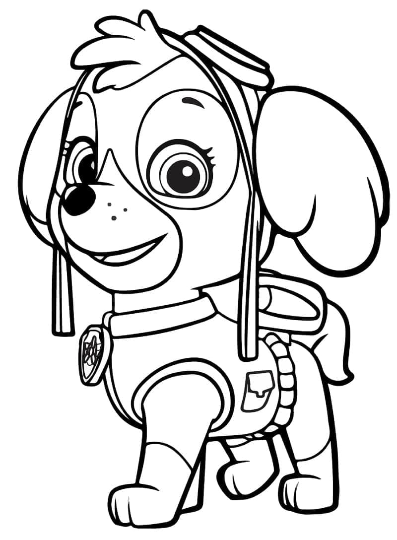 Skye Paw Patrol