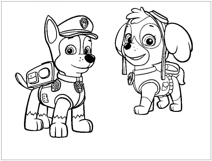 Skye Paw Patrol