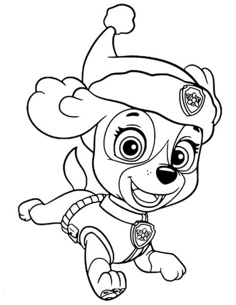 Skye Paw Patrol
