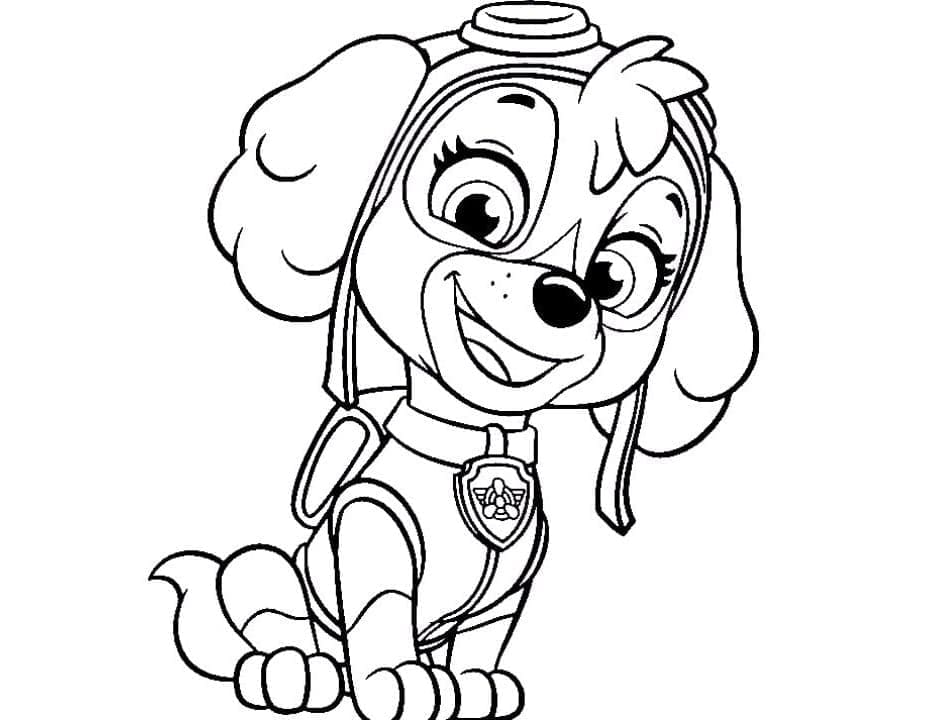 Skye Paw Patrol