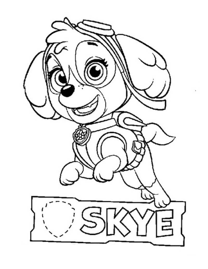 Skye Paw Patrol