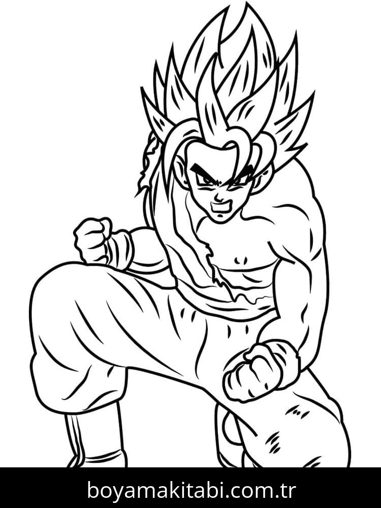 Son Goku