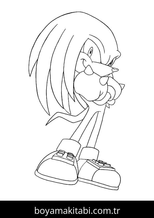 Sonic