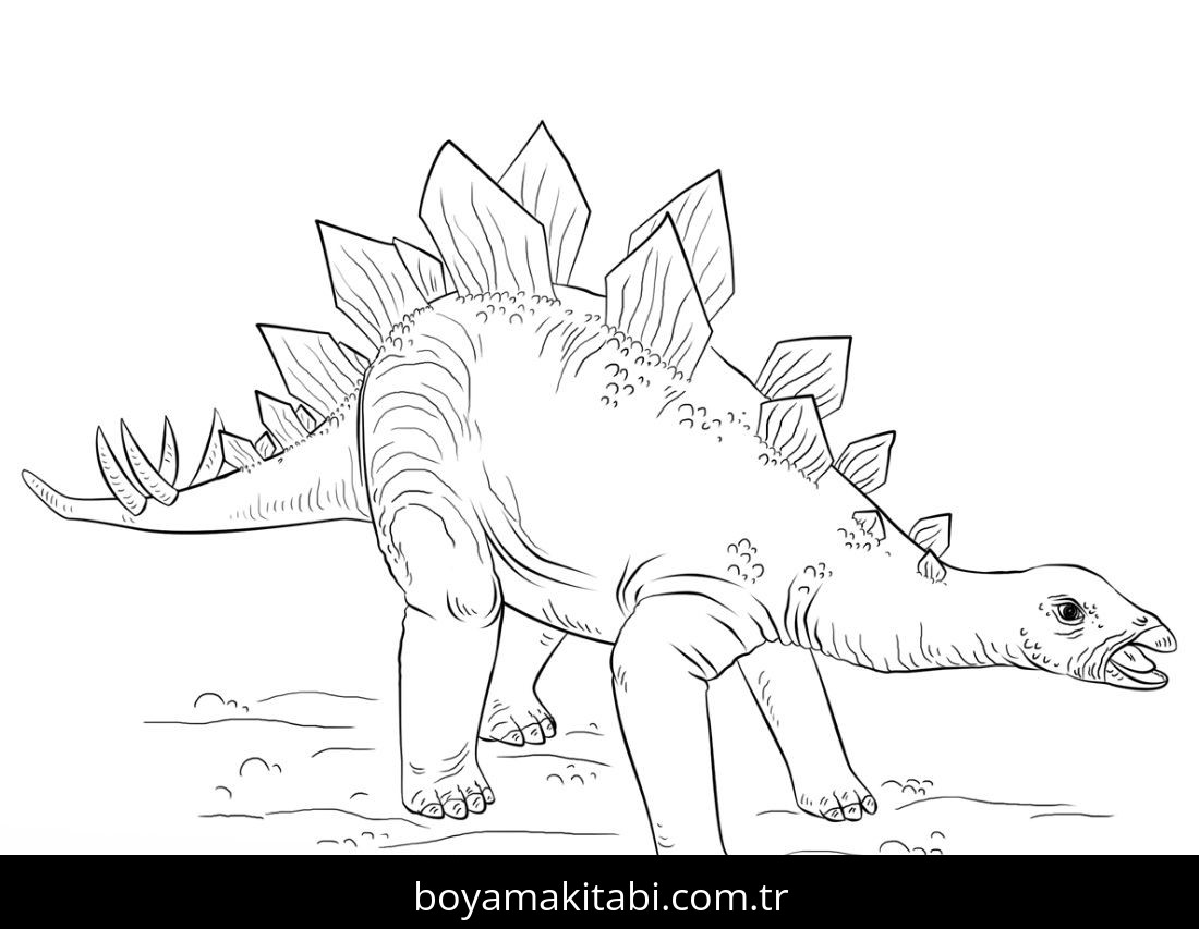 Stegosaurus Dinazor