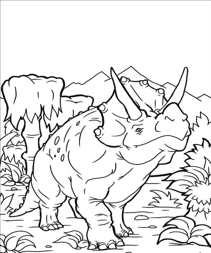 Triceratops