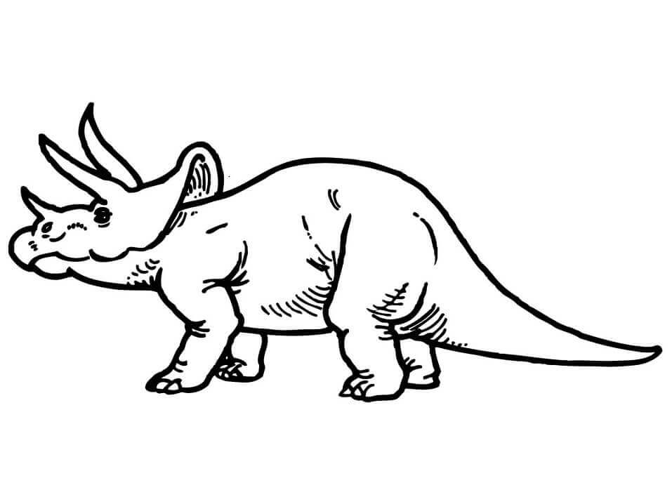 Triceratops