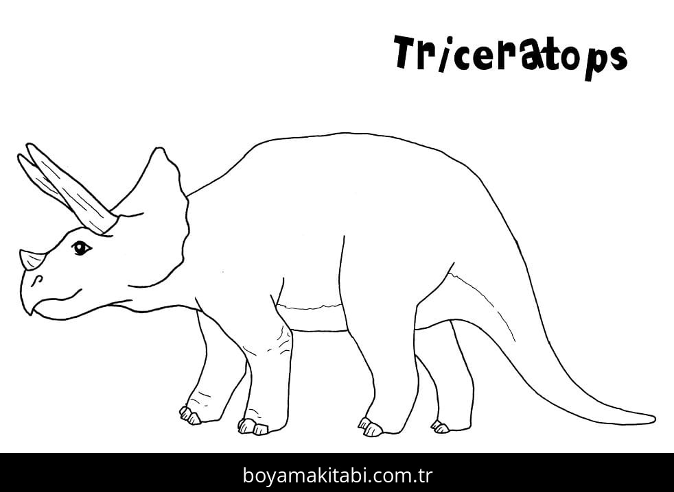 Triceratops
