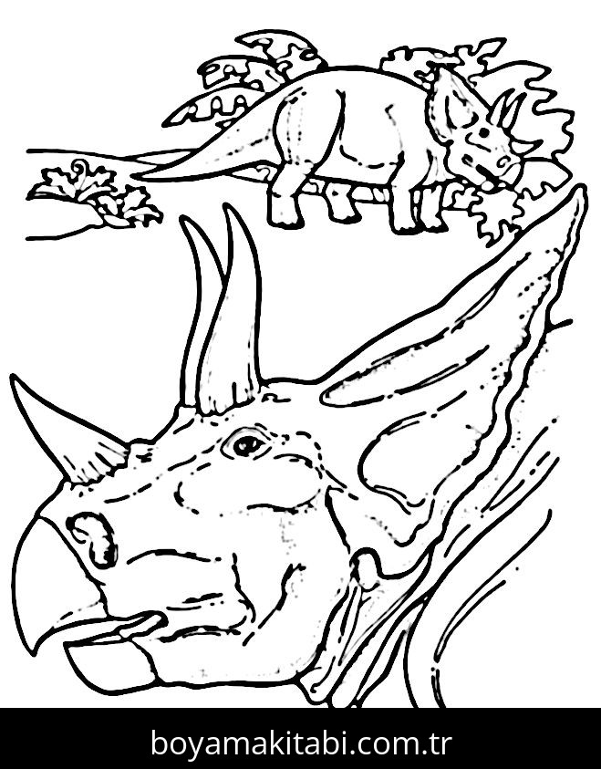 Triceratops Dinazor