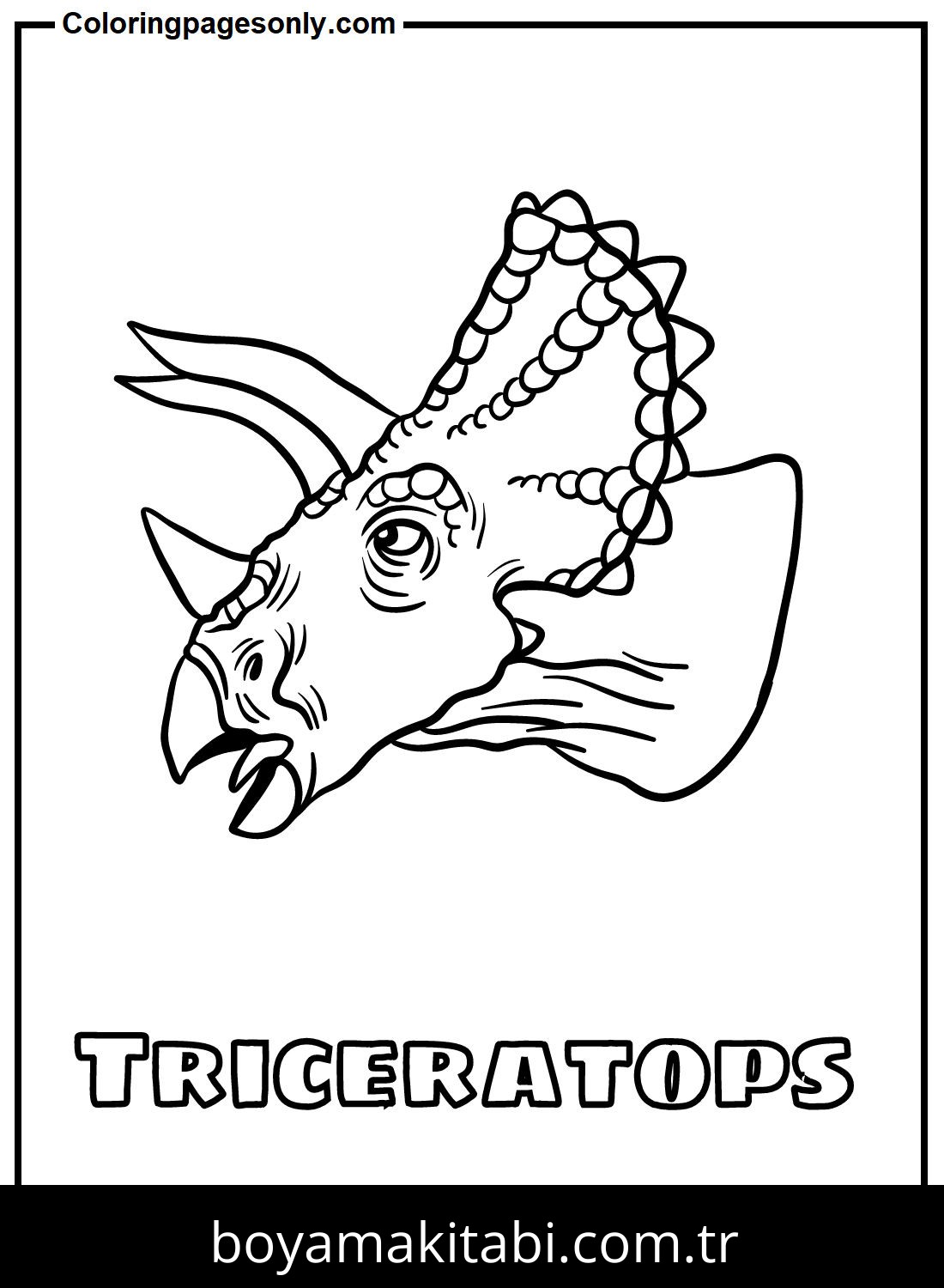 Triceratops Dinazor