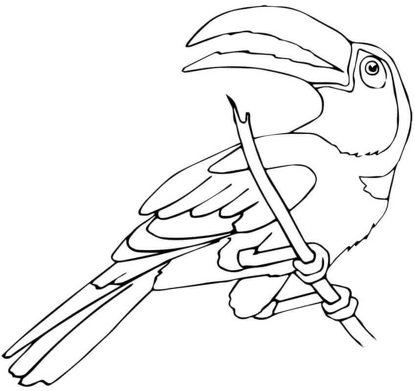Tukan