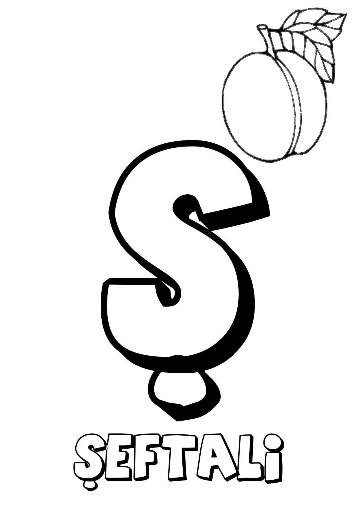 Türk Alfabesi Harfleri