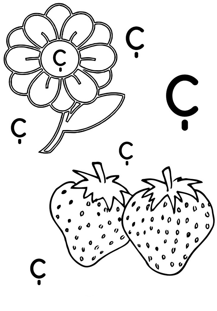 Türk Alfabesi Harfleri