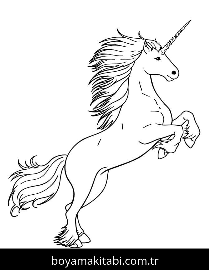 Unicorn