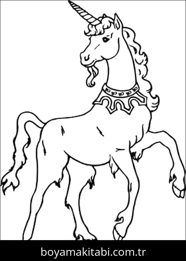 Unicorn