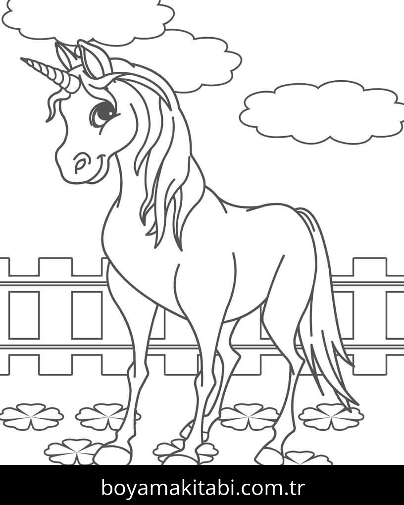 Unicorn