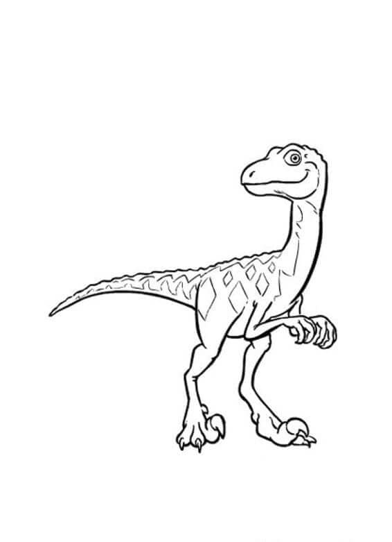 Velociraptor