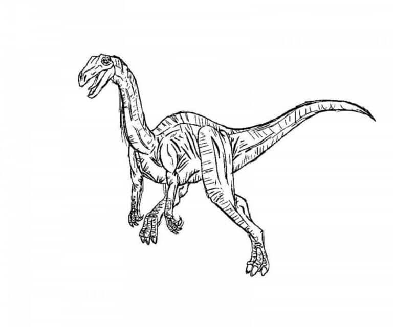 Velociraptor