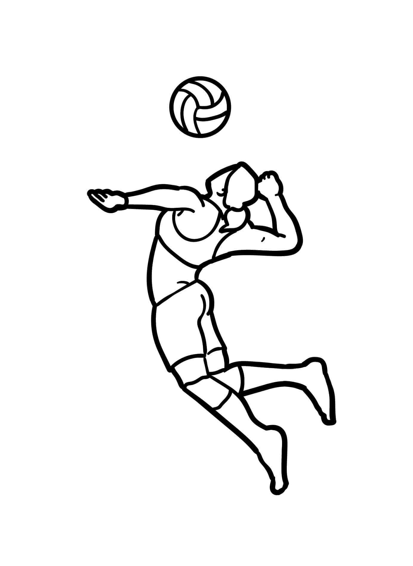 Voleybol