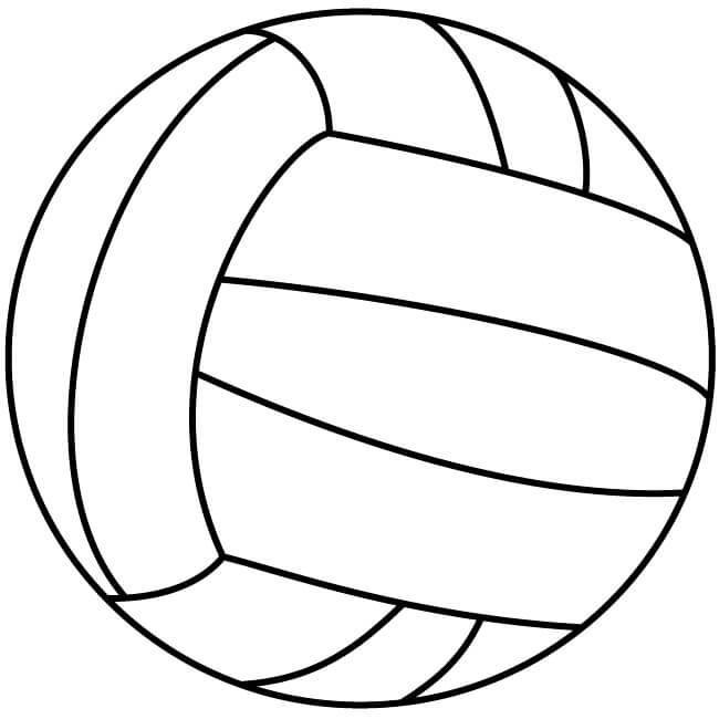 Voleybol