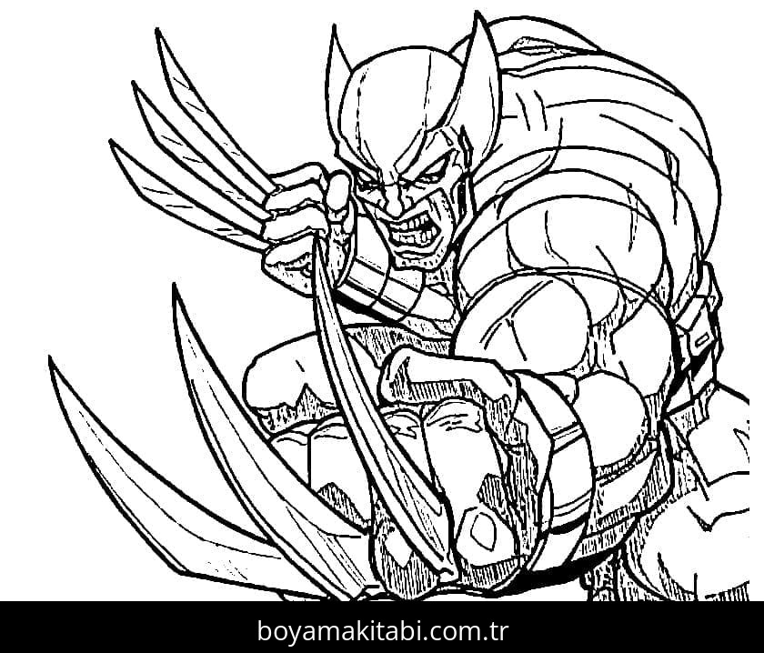 Wolverine