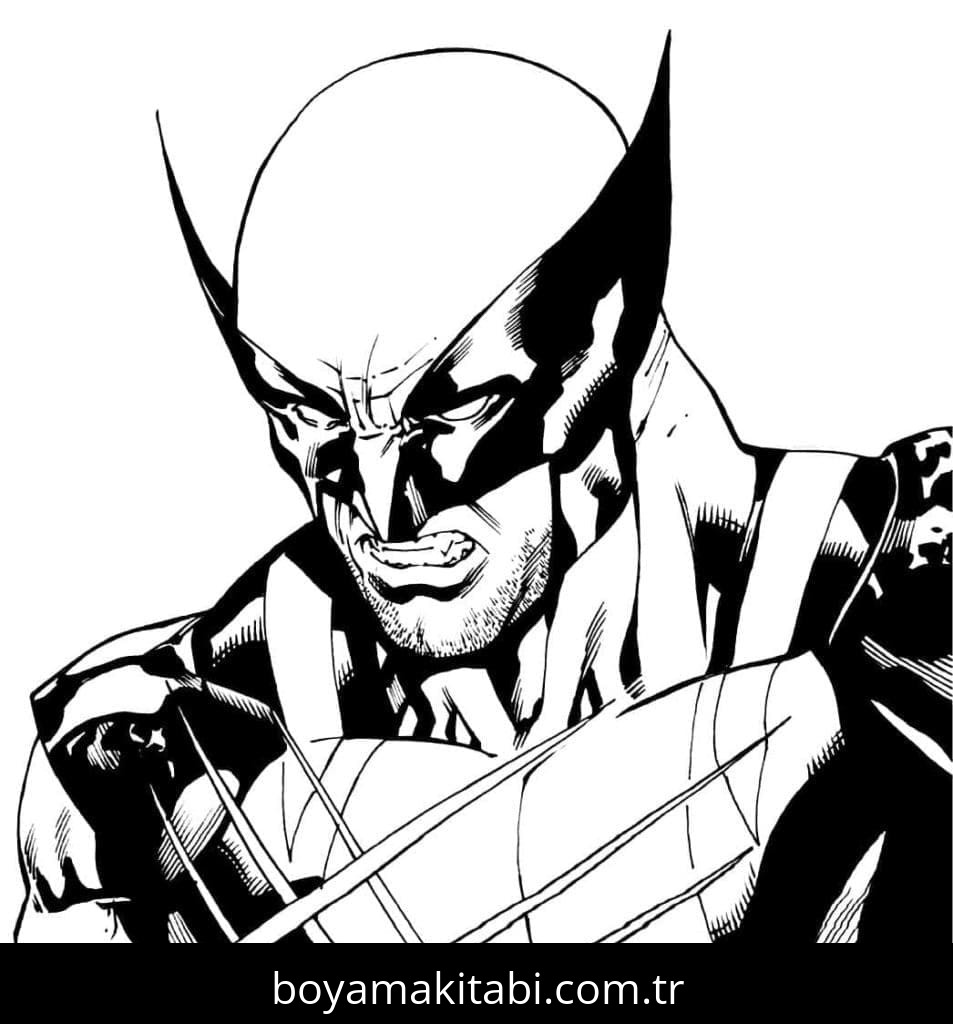 Wolverine