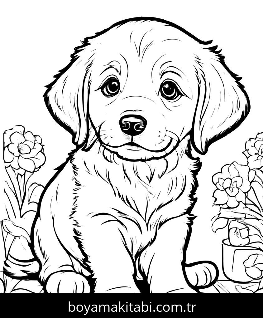 Yavru Köpek