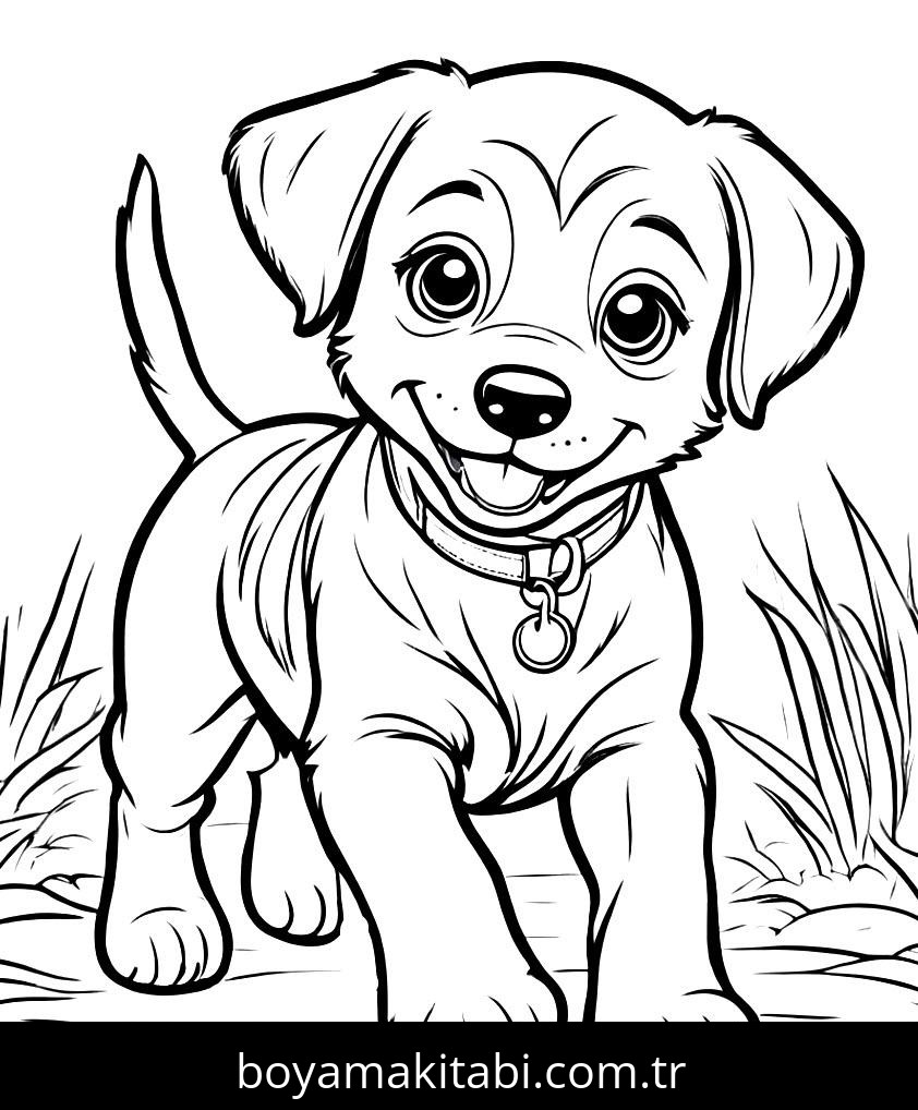 Yavru Köpek