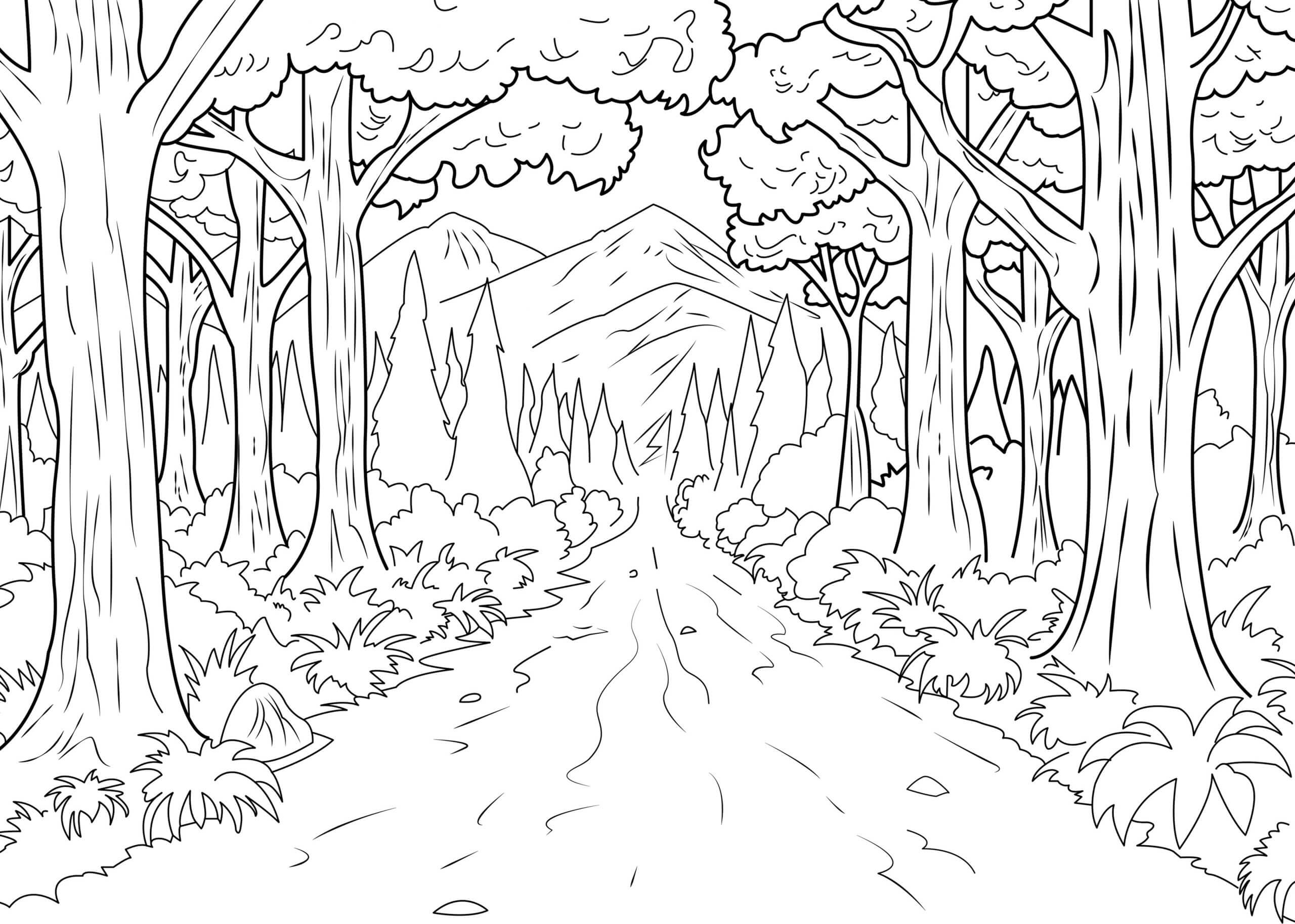 Yol