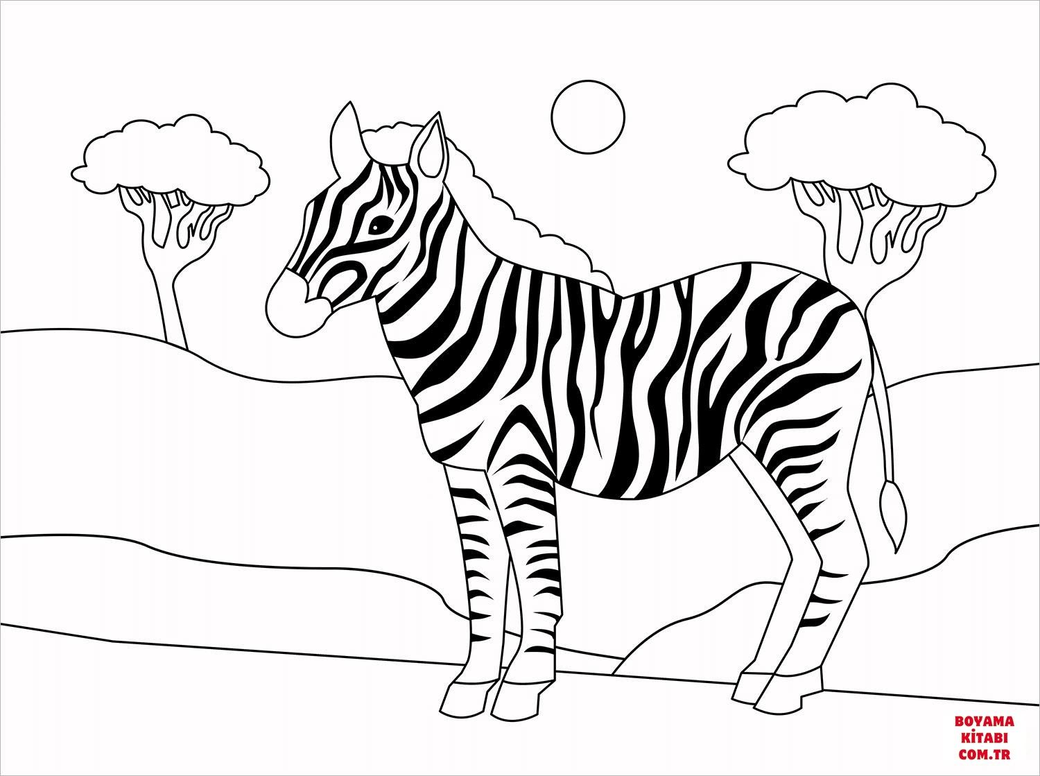 Zebra
