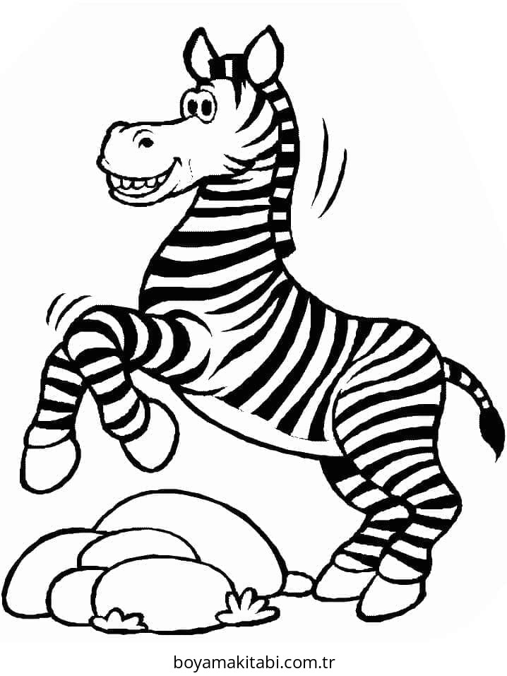 Zebra