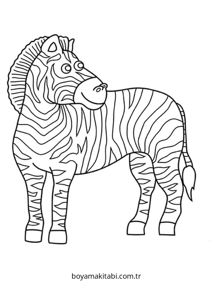 Zebra