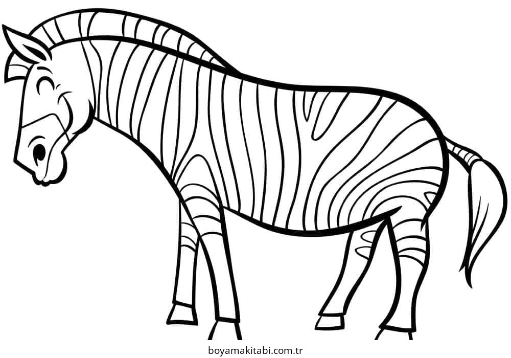 Zebra