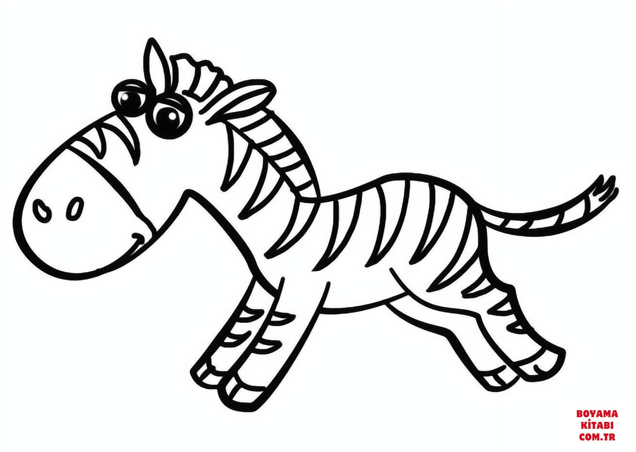 Zebra