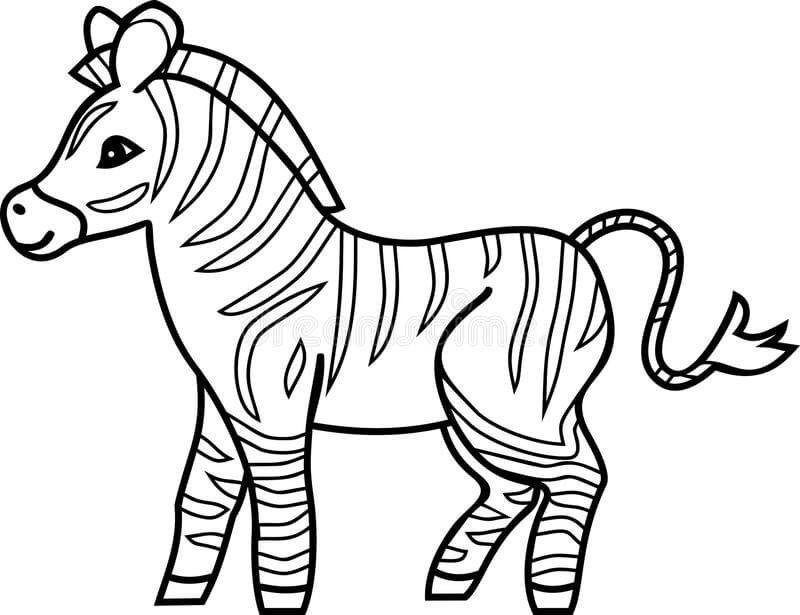 Zebra