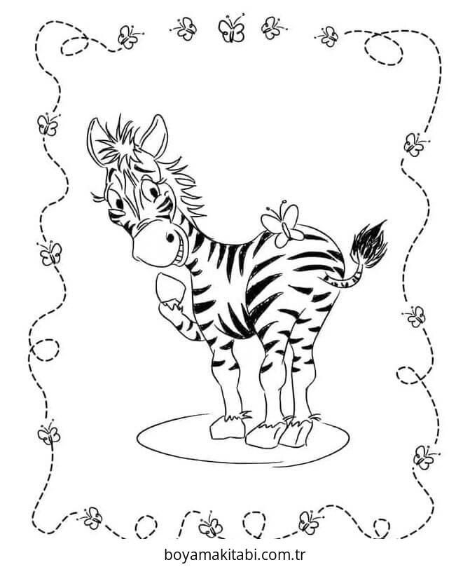 Zebra