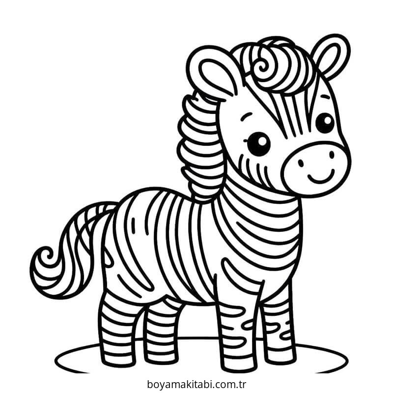 Zebra