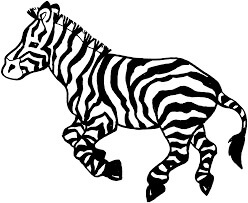 Zebra